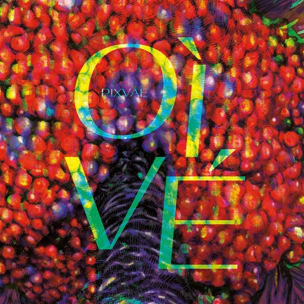  |   | Pixvae - Oi Ve (LP) | Records on Vinyl