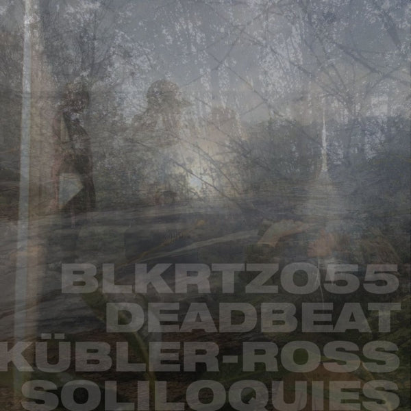  |   | Deadbeat - Kubler-Ross Soliloquies (2 LPs) | Records on Vinyl