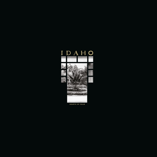  |   | Idaho - Hearts of Palm (LP) | Records on Vinyl