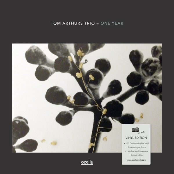  |   | Tom -Trio- Arthurs - One Year (LP) | Records on Vinyl