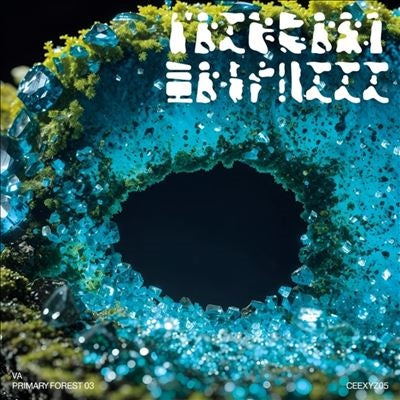 V/A - Primary Forest 03 (LP) Cover Arts and Media | Records on Vinyl