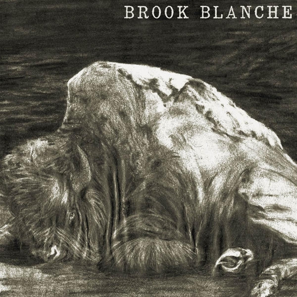  |   | Brook Blanche - Brook Blanche (LP) | Records on Vinyl