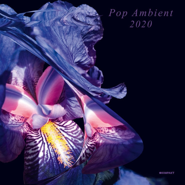  |   | V/A - Pop Ambient 2020 (2 LPs) | Records on Vinyl