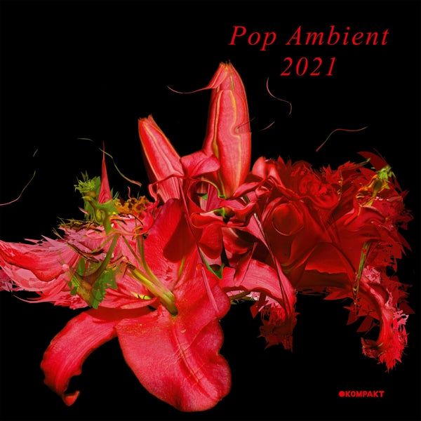  |   | Various - Pop Ambient 2021 (LP) | Records on Vinyl