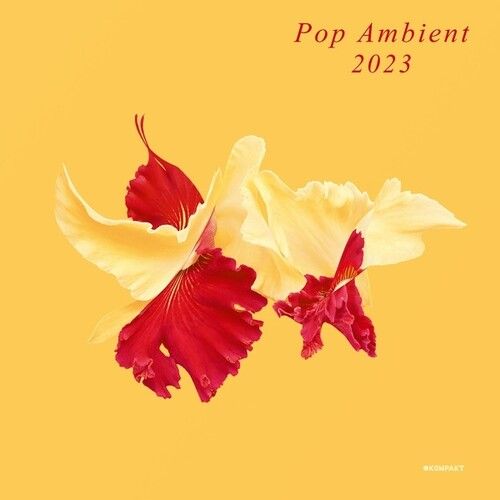 V/A - Pop Ambient 2023 (LP) Cover Arts and Media | Records on Vinyl