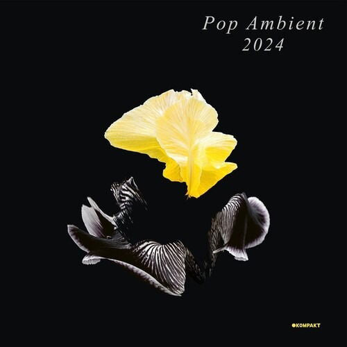 V/A - Pop Ambient 2024 (LP) Cover Arts and Media | Records on Vinyl