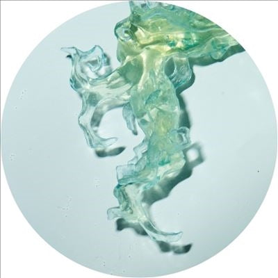 Altone - Invincible Nature (Single) Cover Arts and Media | Records on Vinyl