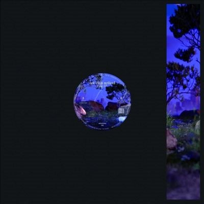 Not Even Noticed - Feel (Single) Cover Arts and Media | Records on Vinyl