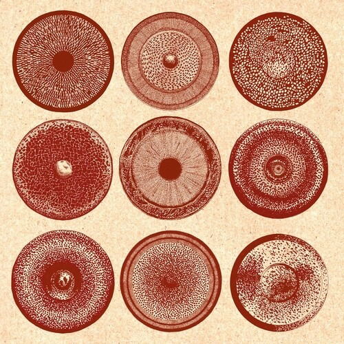 Ensemble Nist-Nah - Spilla (LP) Cover Arts and Media | Records on Vinyl