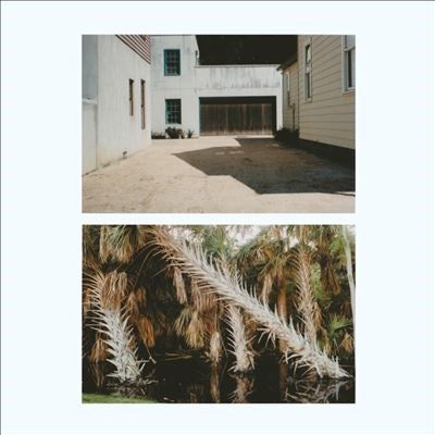 Giuseppe & Jack Sheen Ielasi - The Vestige (LP) Cover Arts and Media | Records on Vinyl