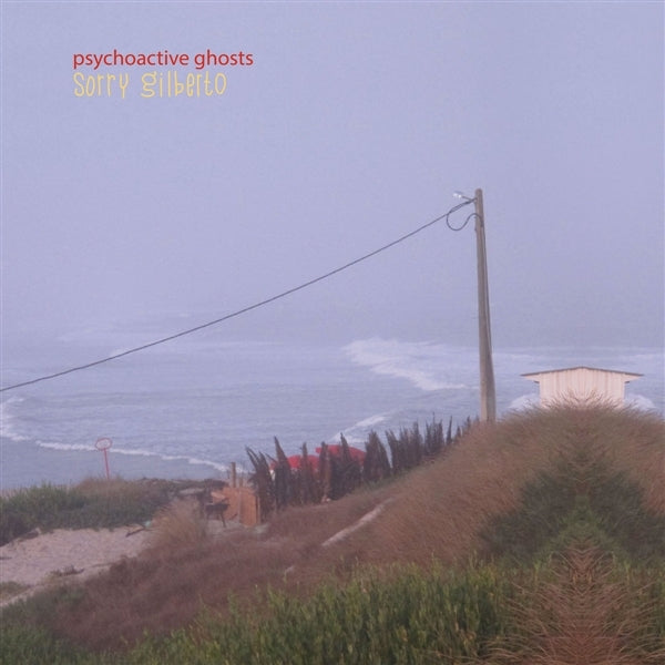  |   | Sorry Gilberto - Psychoactive Ghosts (LP) | Records on Vinyl