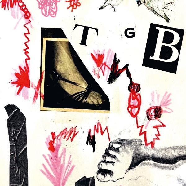  |  Vinyl LP | Teri Gender Bender - Tgb (LP) | Records on Vinyl