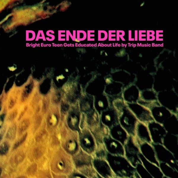  |   | Das Ende Der Liebe - Bright Euro Teens Get Educated About Life By Trip (LP) | Records on Vinyl