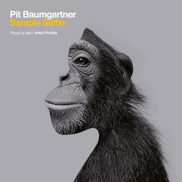  |   | Pit Baumgartner - Sample Selfie (LP) | Records on Vinyl