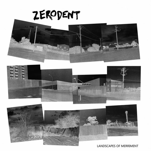  |   | Zerodent - Landscapes of Merriment (LP) | Records on Vinyl