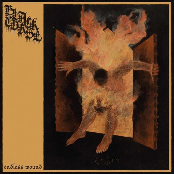  |   | Black Curse - Endless Wound (LP) | Records on Vinyl