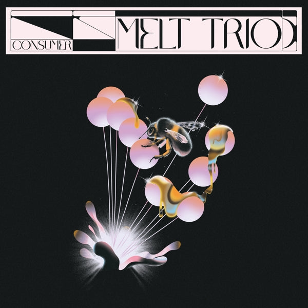 Melt Trio - Consumer (LP) Cover Arts and Media | Records on Vinyl