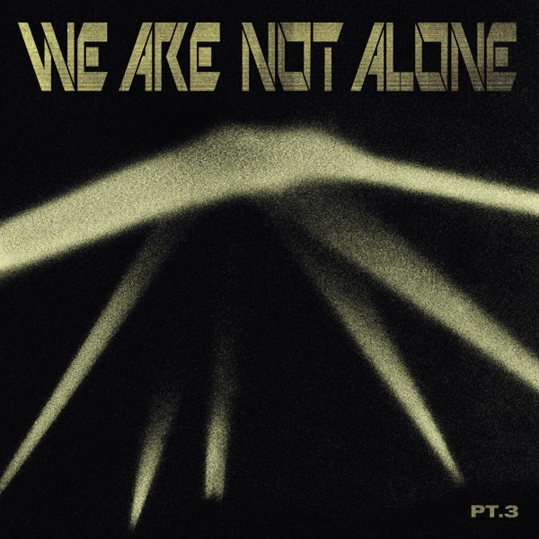  |   | V/A - We Are Not Alone Pt.3 (2 LPs) | Records on Vinyl