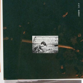Yuta Orisaka - Tamuke (LP) Cover Arts and Media | Records on Vinyl