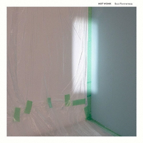 Not Wonk - Bout Foreverness (LP) Cover Arts and Media | Records on Vinyl