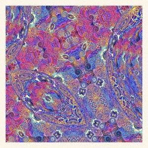 Carlos Nino & Friends - Placenta (2 LPs) Cover Arts and Media | Records on Vinyl