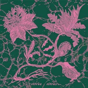 Citron Citron - Mareeternelle (LP) Cover Arts and Media | Records on Vinyl