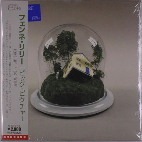 Fenne Lily - Big Picture (LP) Cover Arts and Media | Records on Vinyl