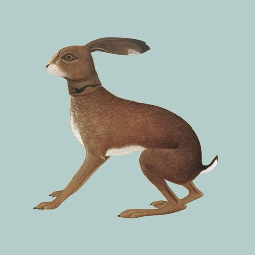 Vashti Bunyan - Lookaftering (2 LPs) Cover Arts and Media | Records on Vinyl