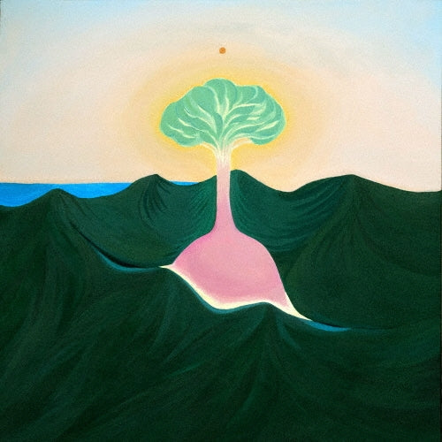 Evisbeats & Nagipan - Suiten (LP) Cover Arts and Media | Records on Vinyl