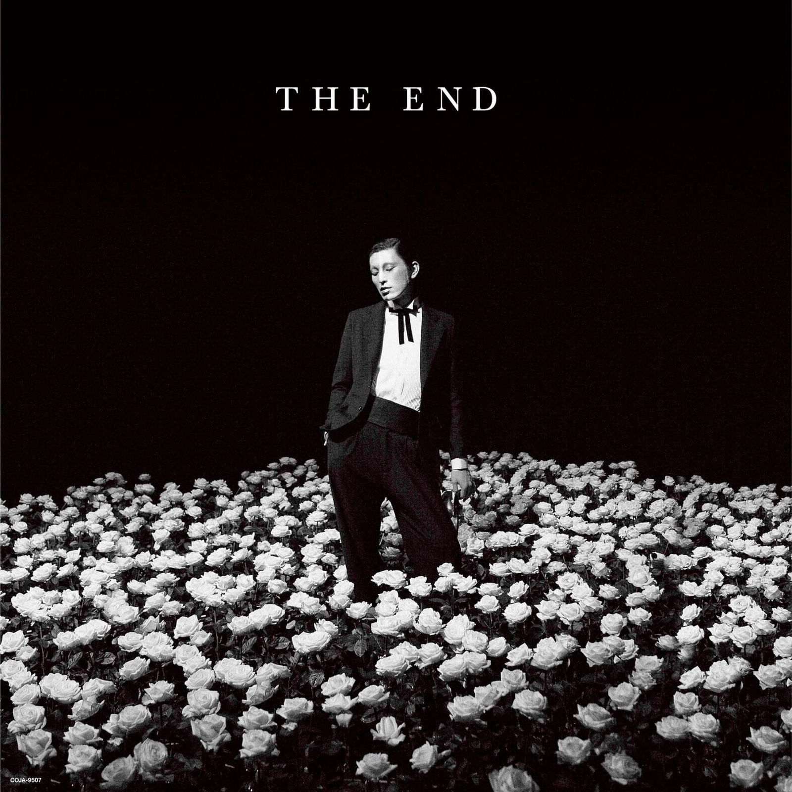 Kegawa No Maries - The End (LP) Cover Arts and Media | Records on Vinyl