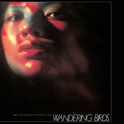 Jiro & Soul Media Inagaki - Wandering Birds (LP) Cover Arts and Media | Records on Vinyl