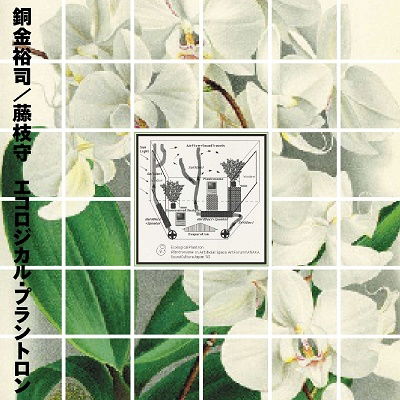 Yuji/Mamoru Fujieda Dogane - Ecological Plantron (LP) Cover Arts and Media | Records on Vinyl