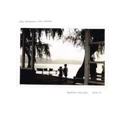 Chihei & Shun Ishiwaka Hatakeyama - Magnificent Little Dudes Vol. 2 (2 LPs) Cover Arts and Media | Records on Vinyl