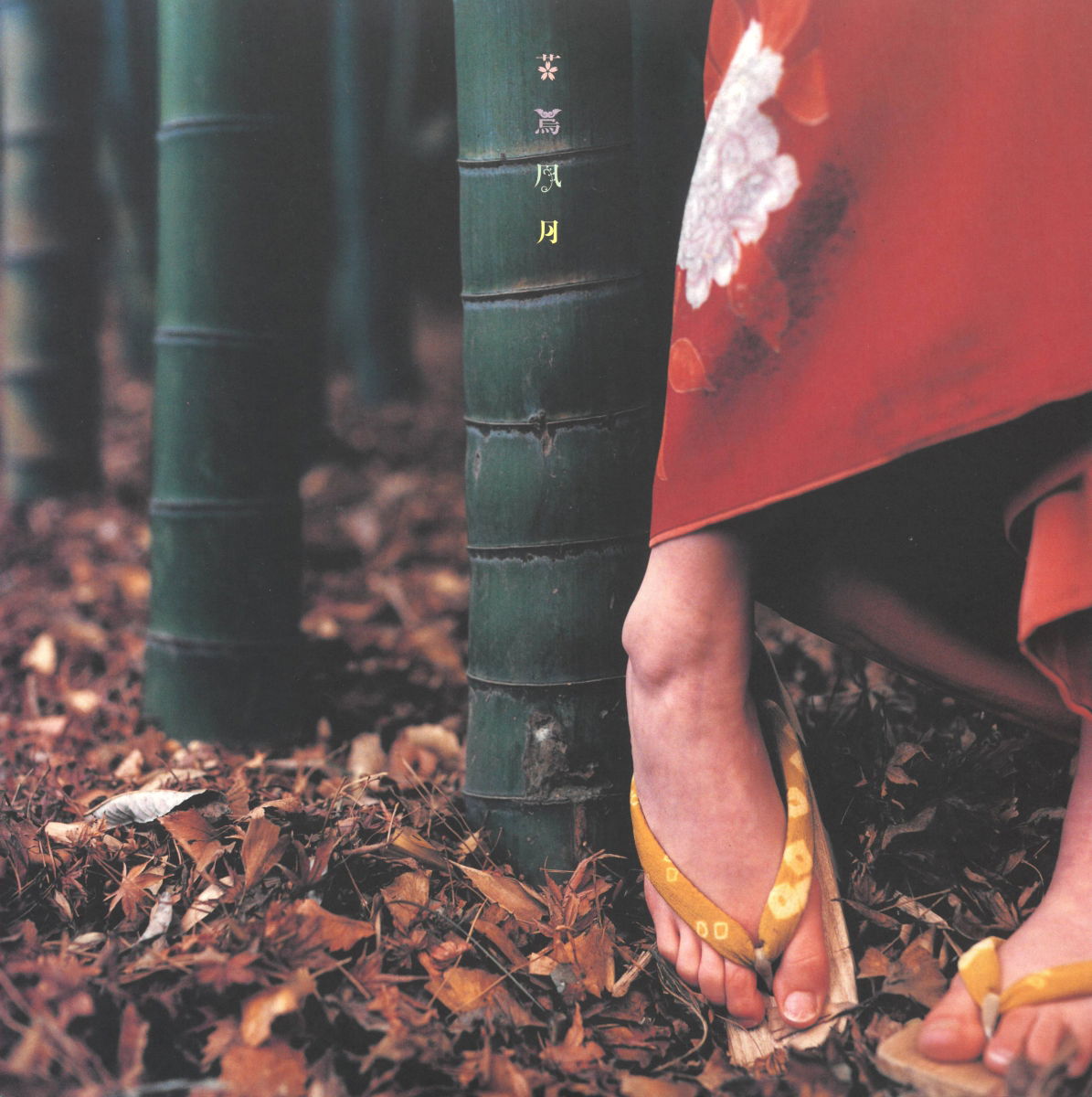 Spitz - Kacho Fugetsu (LP) Cover Arts and Media | Records on Vinyl