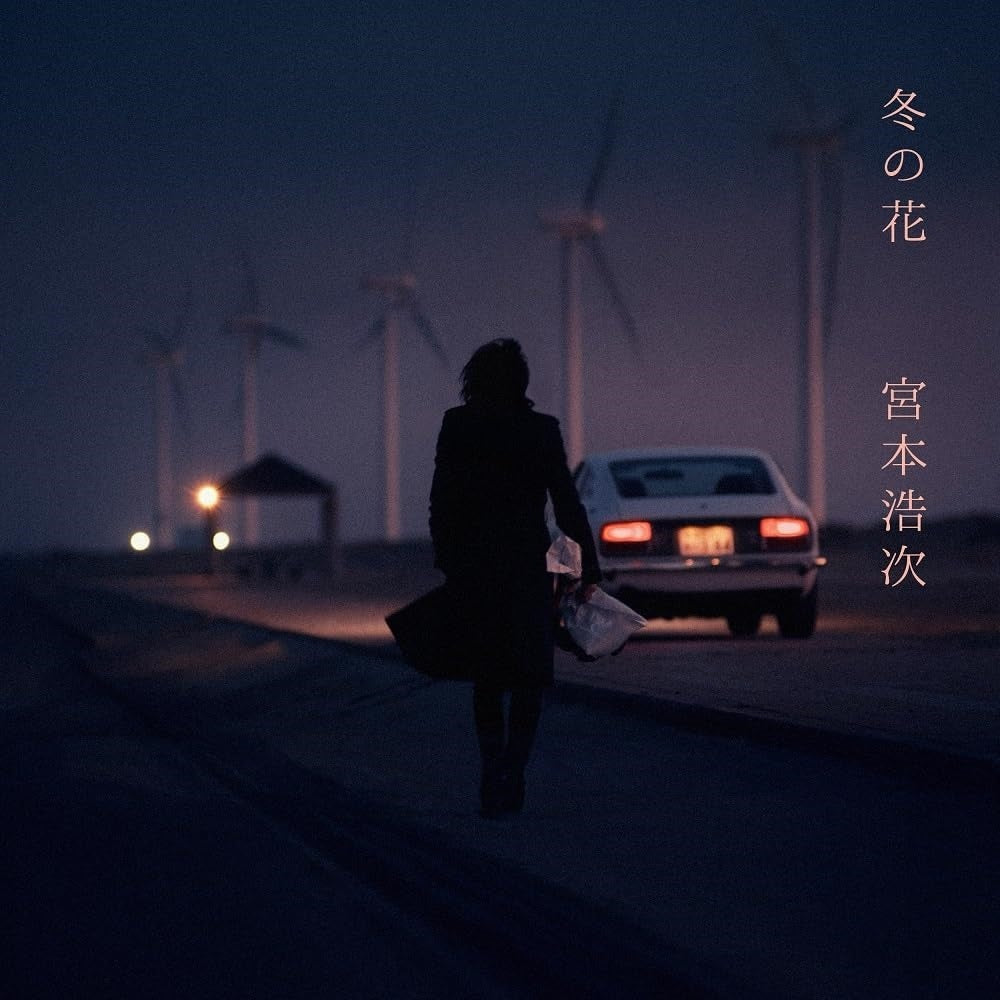 Hiroji Miyamoto - Fuyu No Hana (LP) Cover Arts and Media | Records on Vinyl