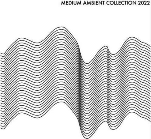  |   | V/A - Medium Ambient Collection 2022 (2 LPs) | Records on Vinyl