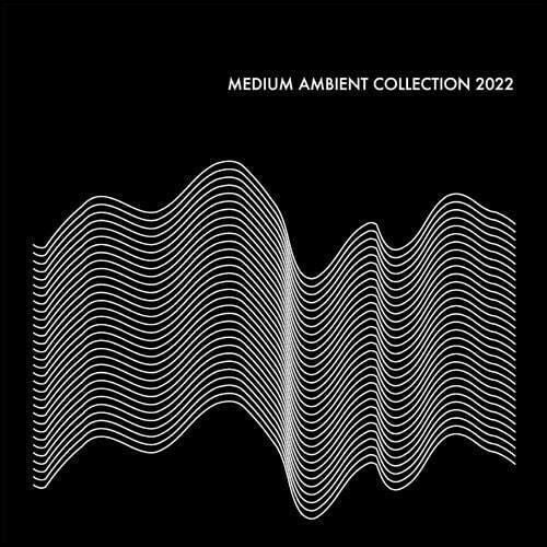  |   | V/A - Medium Ambient Collection 2022 (2 LPs) | Records on Vinyl