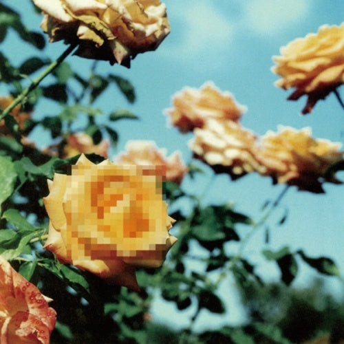Globe - Relation (2 LPs) Cover Arts and Media | Records on Vinyl