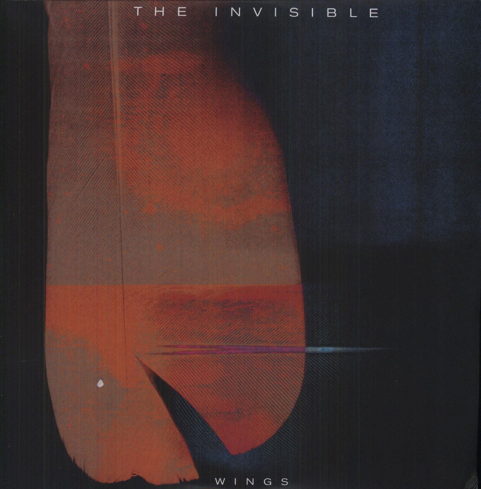 Invisible - Wings (Single) Cover Arts and Media | Records on Vinyl