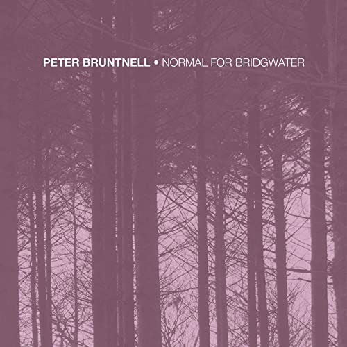 Peter Bruntnell - Normal For Bridgwater (LP) Cover Arts and Media | Records on Vinyl