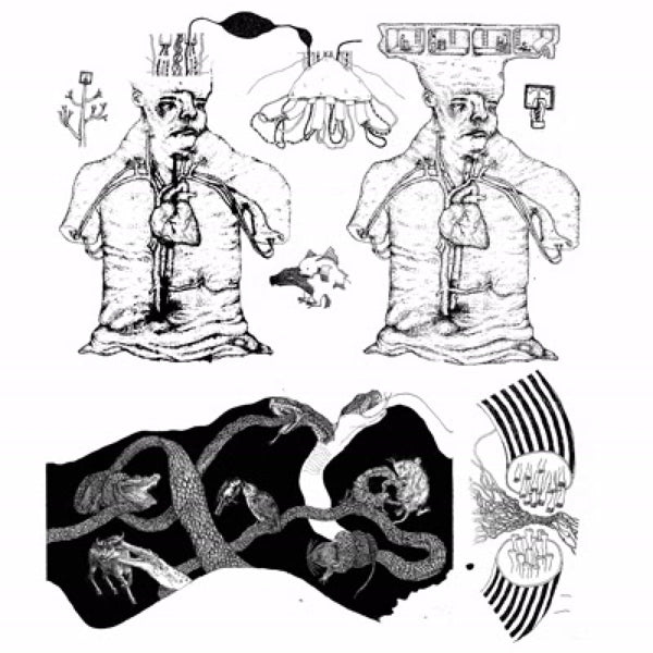  |  Vinyl LP | Ismo Laakso - Ofelia (LP) | Records on Vinyl