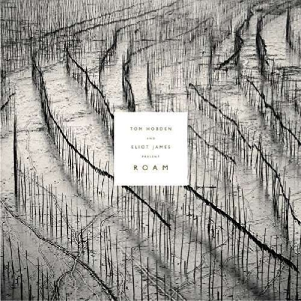  |   | Tom/Eliot James Hobden - Present: Roam (LP) | Records on Vinyl