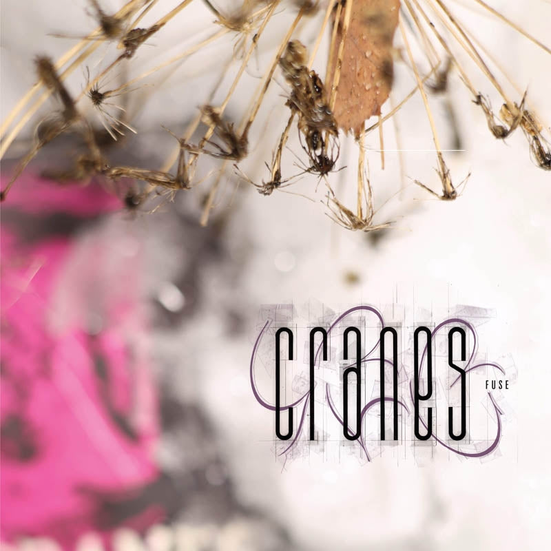  |   | Cranes - Fuse (LP) | Records on Vinyl