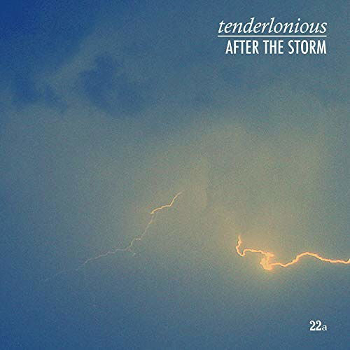 Tenderlonious - After the Storm (Single) Cover Arts and Media | Records on Vinyl