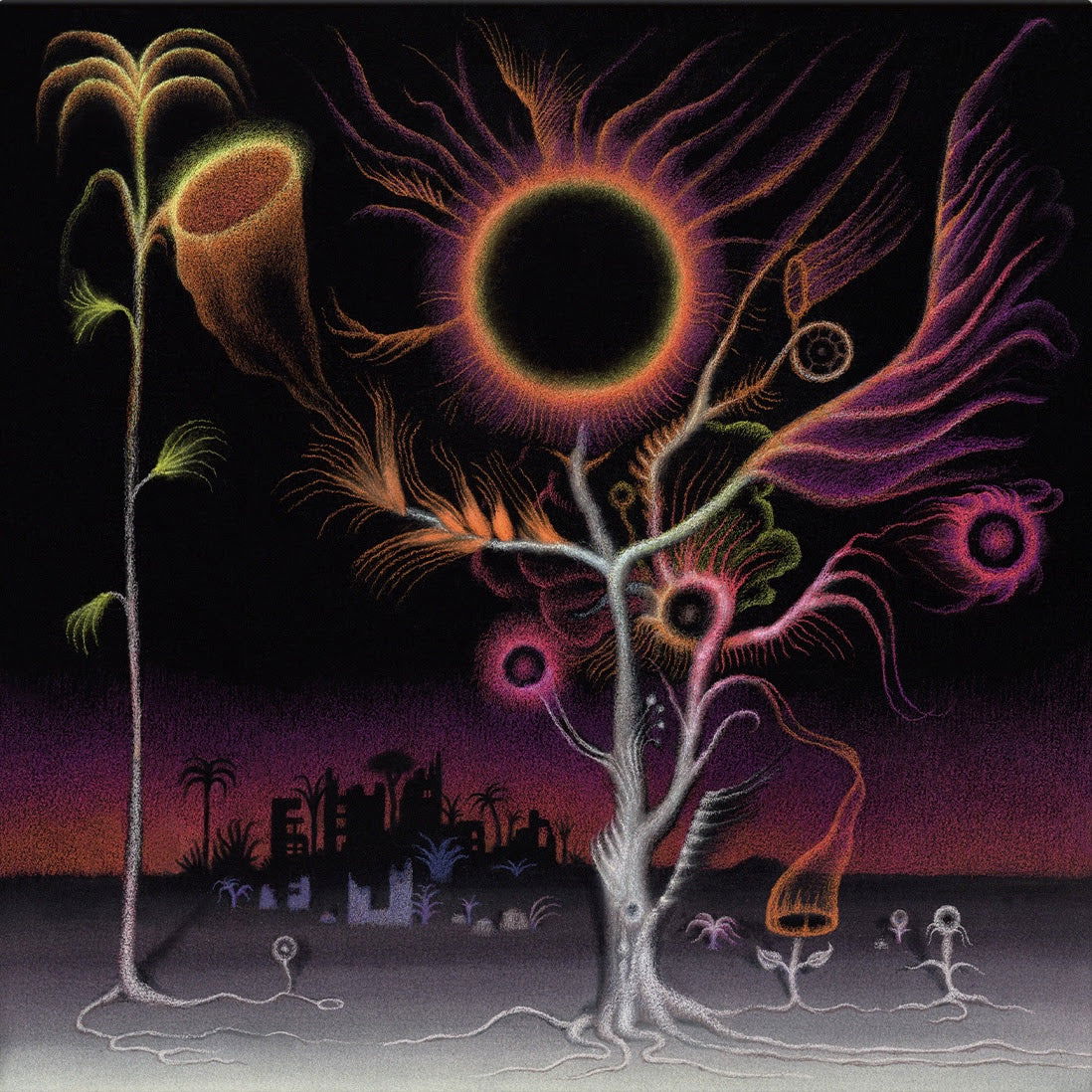 Laura Agnusdei - Flowers Are Blooming In Antarctica (LP) Cover Arts and Media | Records on Vinyl