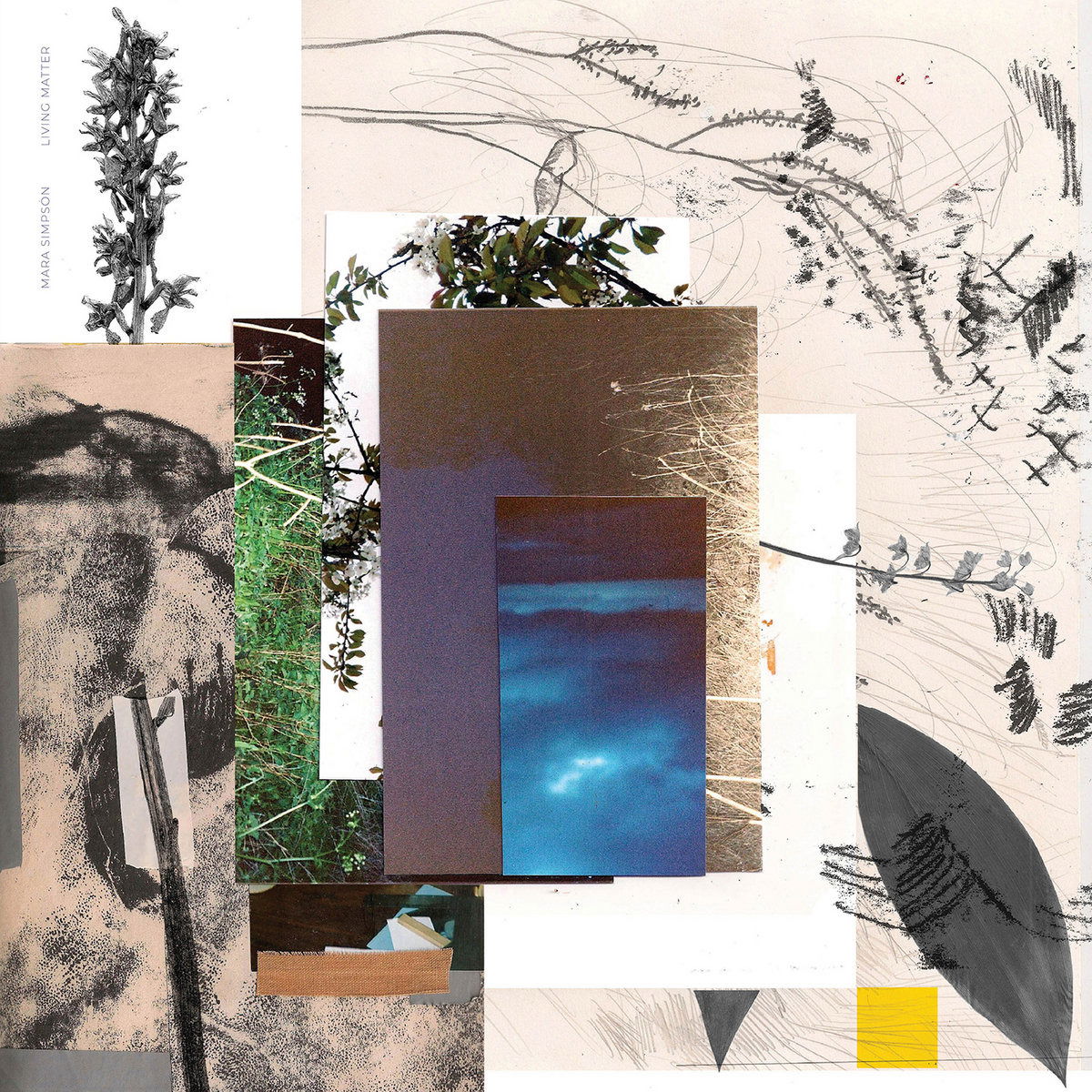 Mara Simpson - Living Matter (LP) Cover Arts and Media | Records on Vinyl
