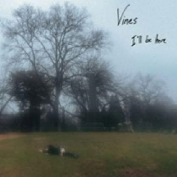 Vines - I'll Be Here (LP) Cover Arts and Media | Records on Vinyl