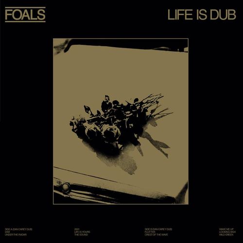  |  Vinyl LP | Foals - Life is Dub (LP) | Records on Vinyl