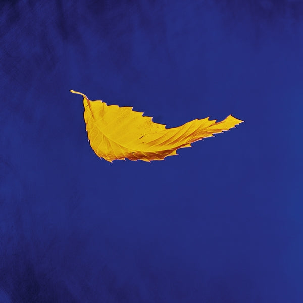 New Order - True Faith (Single) Cover Arts and Media | Records on Vinyl