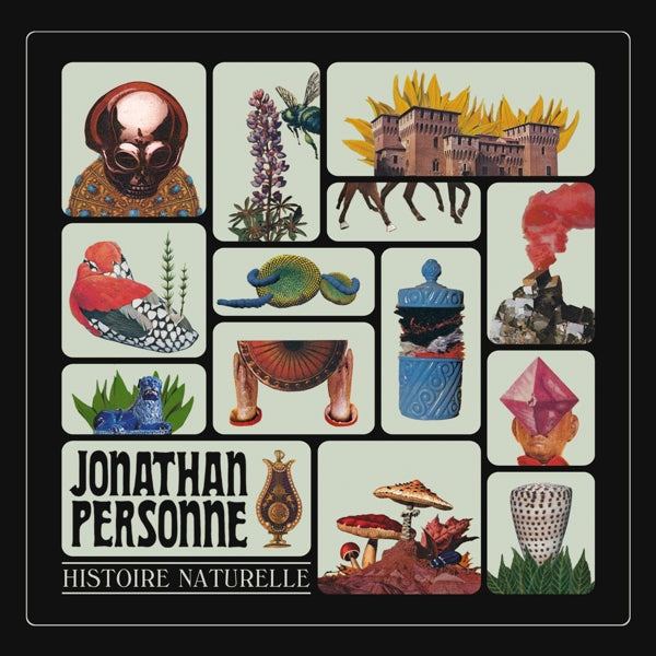  |   | Jonathan Personne - Histoire Naturelle (LP) | Records on Vinyl